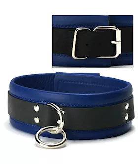 Blue Mid-level Leather Collar