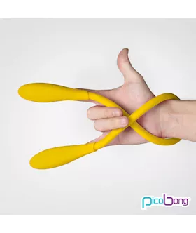 Picobong Transformer