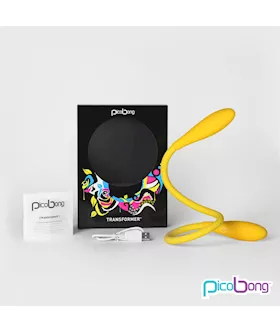 Picobong Transformer