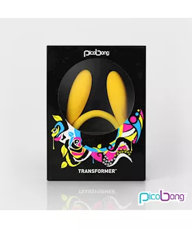 Picobong Transformer