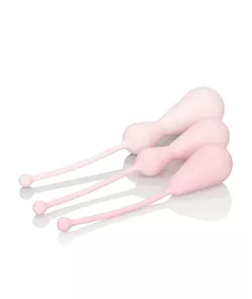 Inspire Weighted Silicone Kegel Training Kit