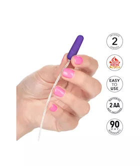 Whisper Micro Bullet