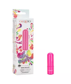 Tiny Teasers Mini Bullet