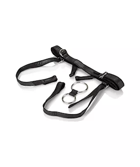 Her Royal Harness The Duchess