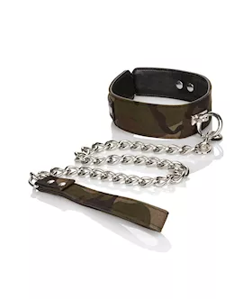 Colt  Collar & Leash