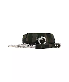 Colt  Collar & Leash