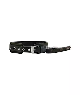 Colt  Collar & Leash