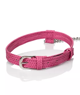 Calexotics Tickle Me Pink Collar With Leash