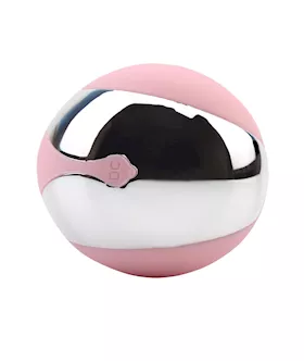 Oh My Rabbit Vibrator