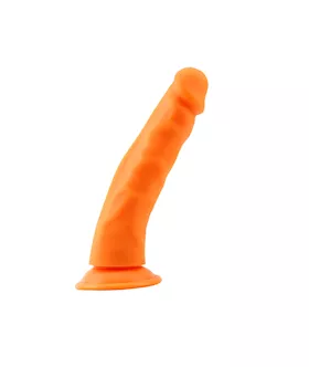 Steven R Dildo