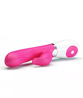 Foxy Felix Rabbit Vibe