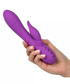 California Dreaming Valley Vampire