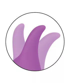 California Dreaming Valley Vampire