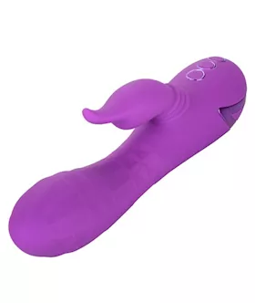 California Dreaming Valley Vampire