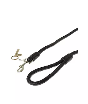 Bound X Braided Leather Leash