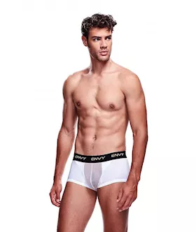 Envy Mesh Short Boxer
