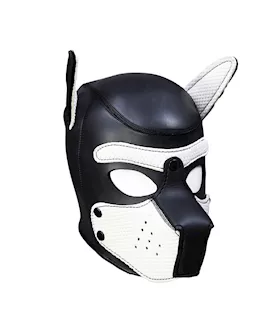 Mans Best Friend Puppy Hood