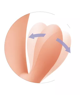 California Dreaming Monteray Magic