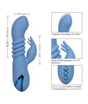 California Dreaming Santa Cruz Coaster