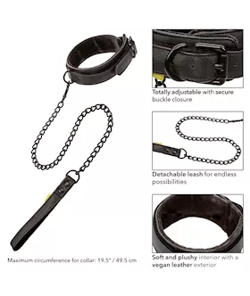 Boundless Collar And Leash