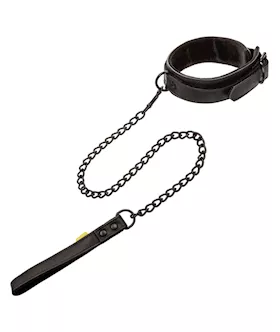 Boundless Collar And Leash