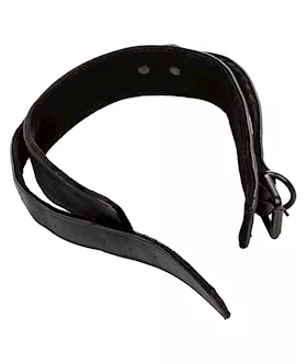 Boundless Collar And Leash