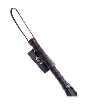 Bound X Spiked Leather Flogger With Braid Detail