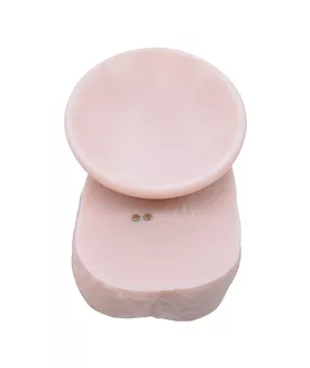 Thrusting Suction Cup Dildo With Remote