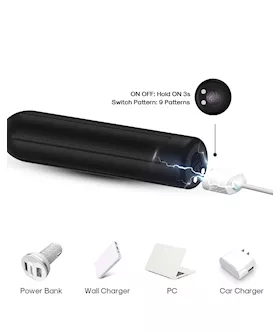 Seismic Bullet Vibrator