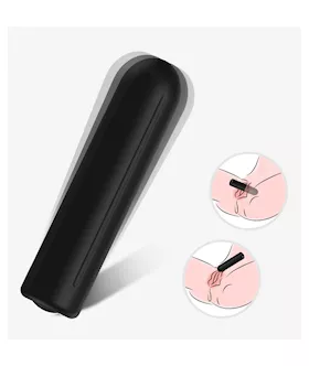 Seismic Bullet Vibrator