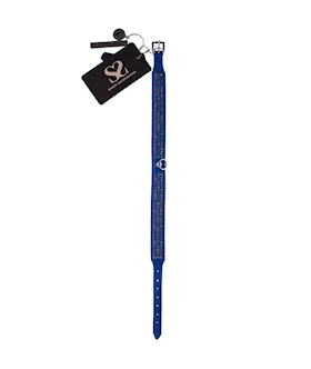 Bound X Blue Collar With Rainbow Rhinestones