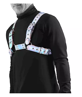 Cosmo Harness Rogue M/l