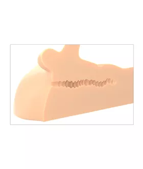 Pdx Plus Perfect Ride Masturbator