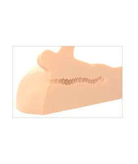 Pdx Plus Perfect Ride Masturbator