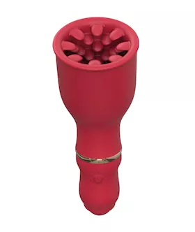 Amore Portal Multipurpose Vibrator