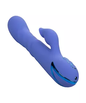 California Dreaming L.a. Love