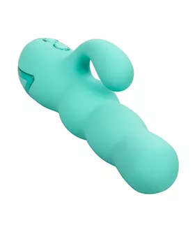 California Dreaming Del Mar Diva