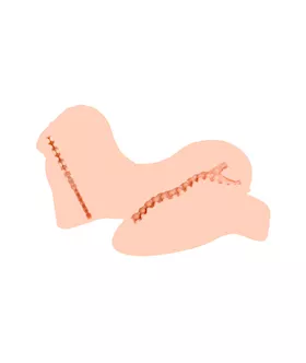 Love Doll Series Sarah