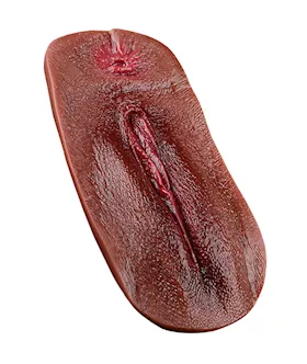 Vagina Panty Pad