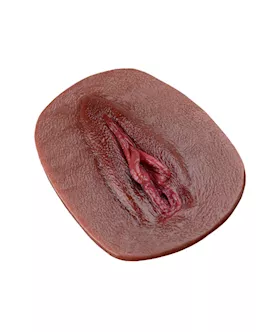 Vagina Panty Pad