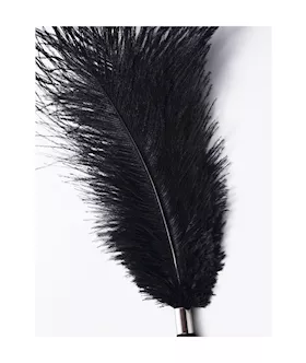 Flirting Feather Tickler