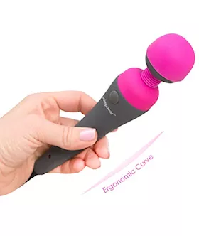 Palmpower Massager 