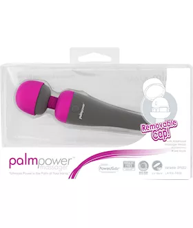 Palmpower Massager 