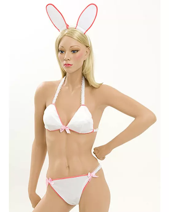 Bikini Bunny