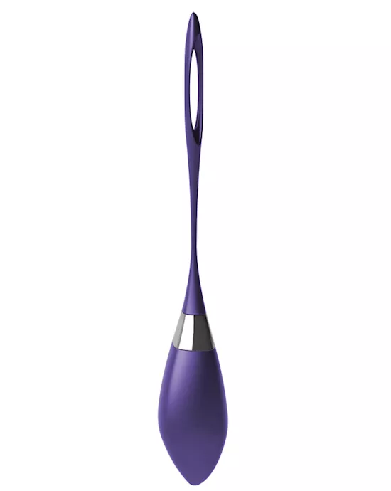 OVO R6 Rechargeable Remote Royal