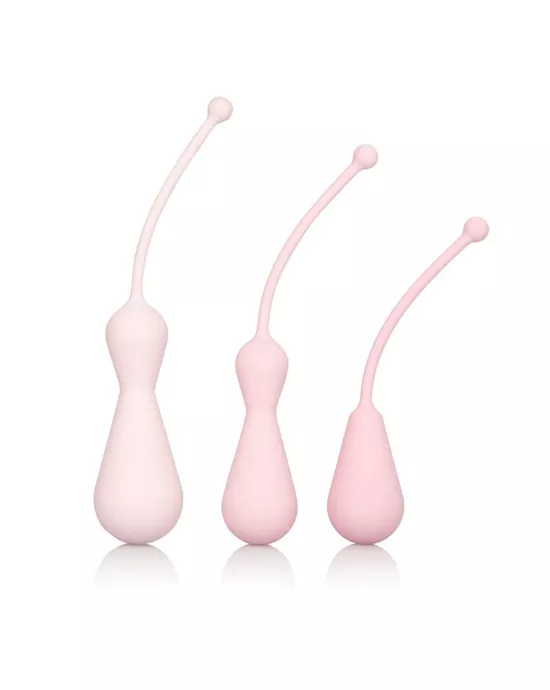 Inspire Weighted Silicone Kegel Training Kit