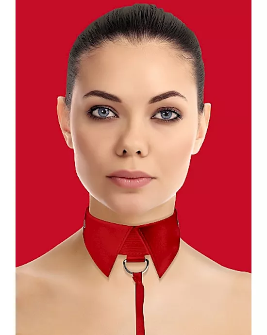 Classic Collar With Leash