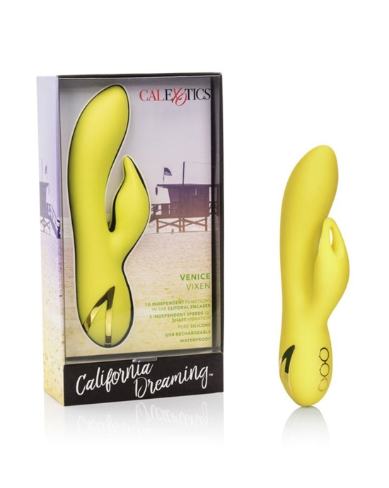 California Dreaming Venice Vixen