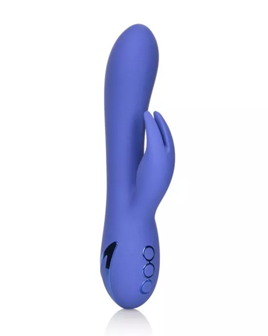 California Dreaming Beverly Hills Bunny