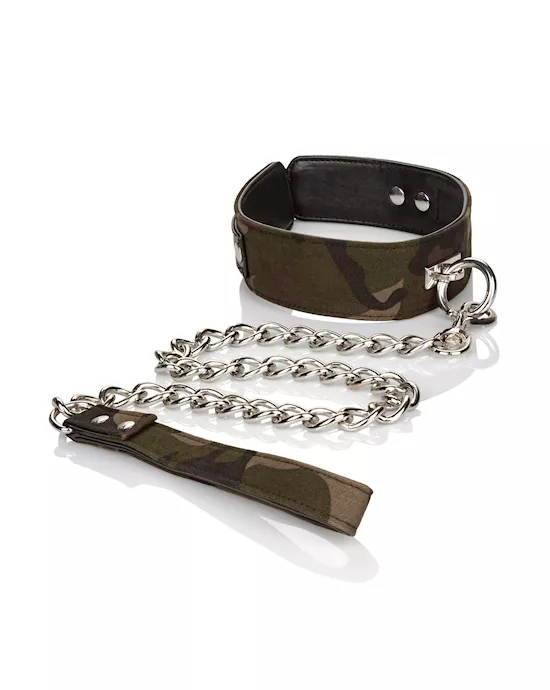 Colt  Collar & Leash